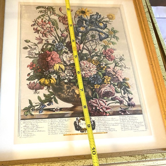 Elegant Gold Framed Botanical Art Print - Picture 9 of 10